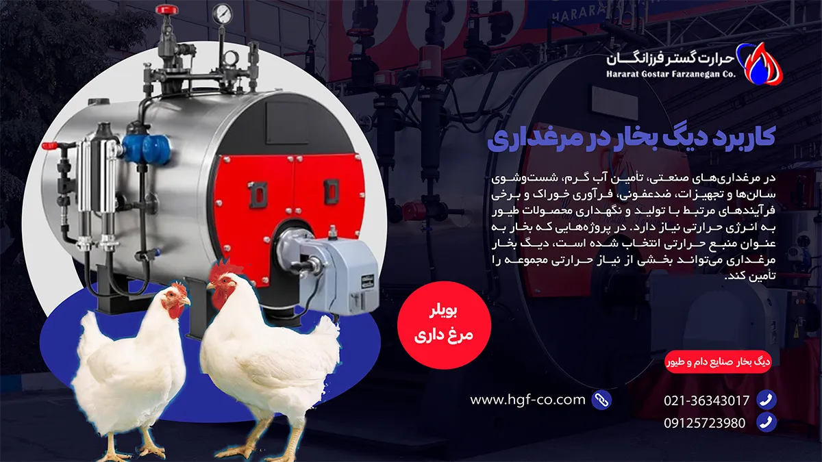 کاربرد دیگ بخار در مرغداری - قیمت بویلر حرارت گستر فرزانگان